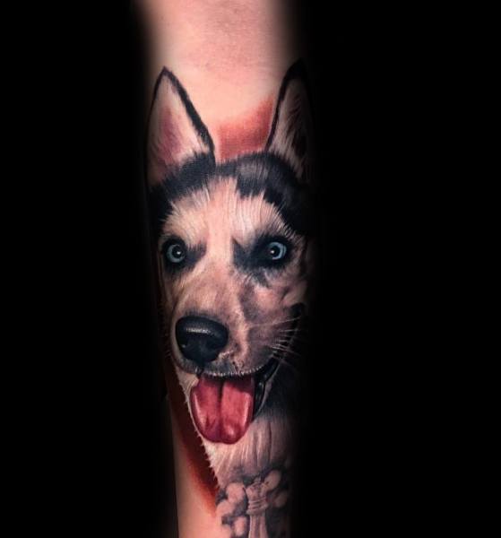 Realistic Siberian Husky tattoo on a man's forearm, featuring bright blue eyes, detailed fur shading, and a happy expression with a playful tongue out.