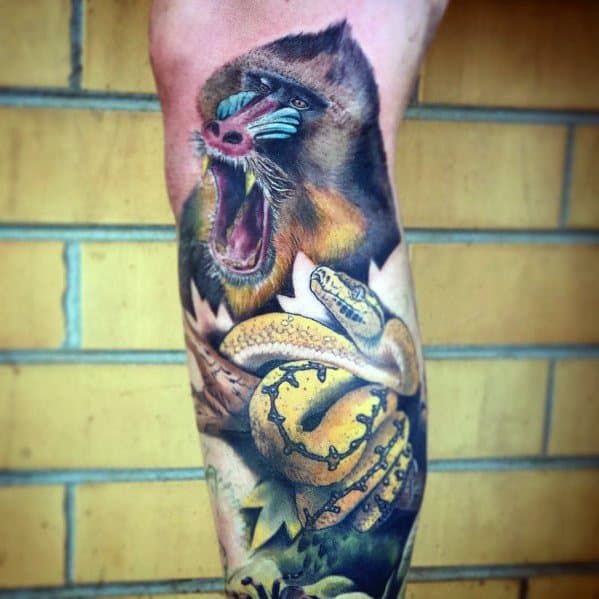Realistic baboon tattoo with vivid colors, fierce expression, and intricate shading, featuring a coiled snake for a dynamic and powerful leg design.