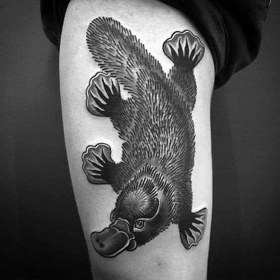 Side Of Thigh Awesome Ink Platypus Tattoos For Men