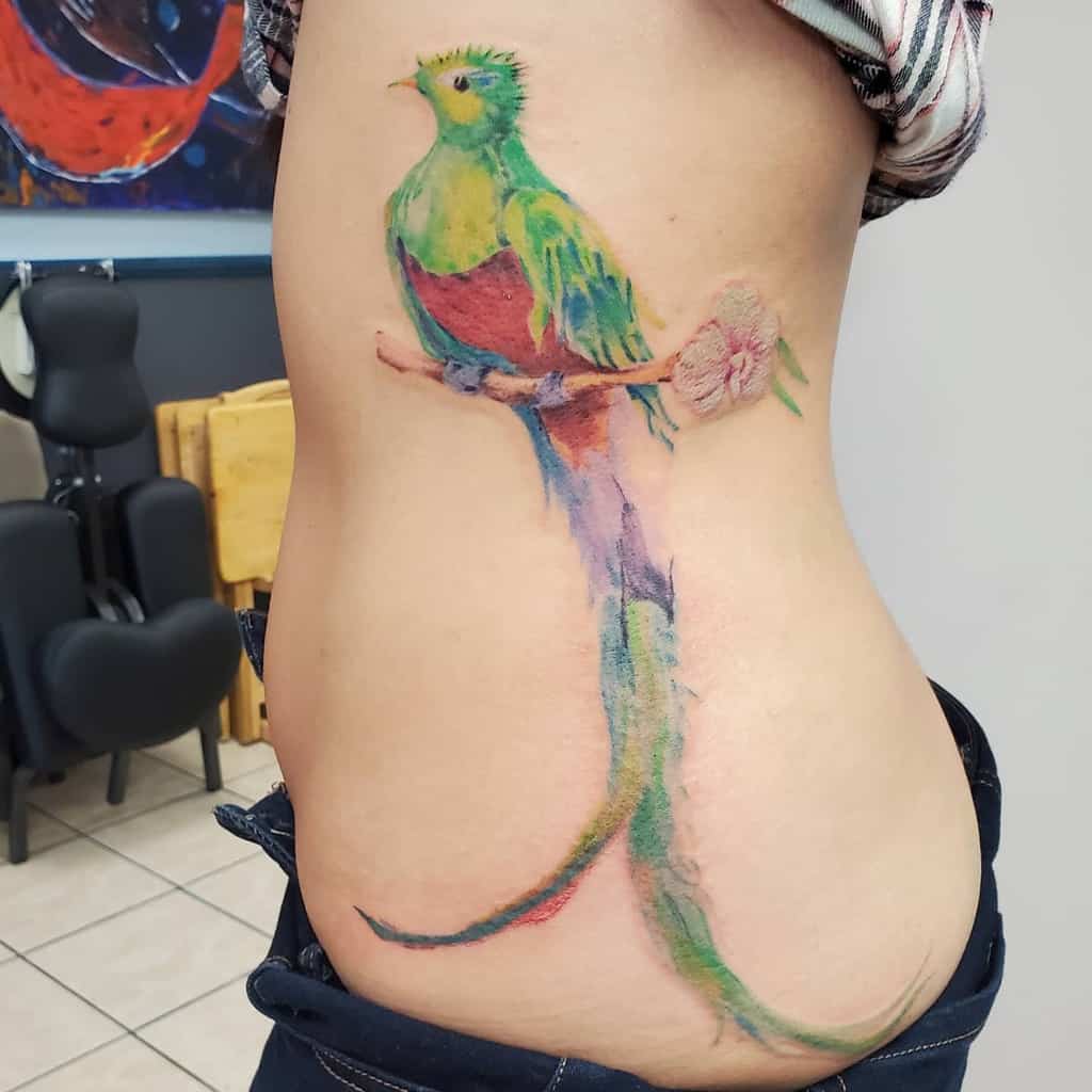 Watercolor-style tattoo of a vibrant quetzal perched on a branch, spanning a woman's side
