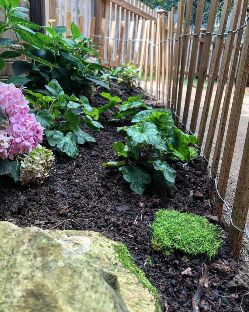 side yard shade garden with wood fence