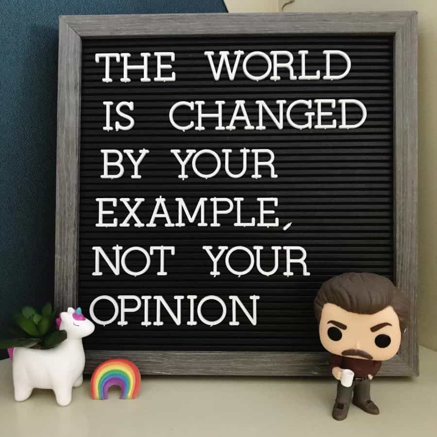 framed quote unicorn succulent office cubicle 