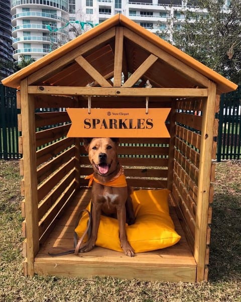 A simple wooden dog house with a sign that reads "SPARKLES," featuring a dog resting on a yellow cushion inside, with a clear view of the city behind it