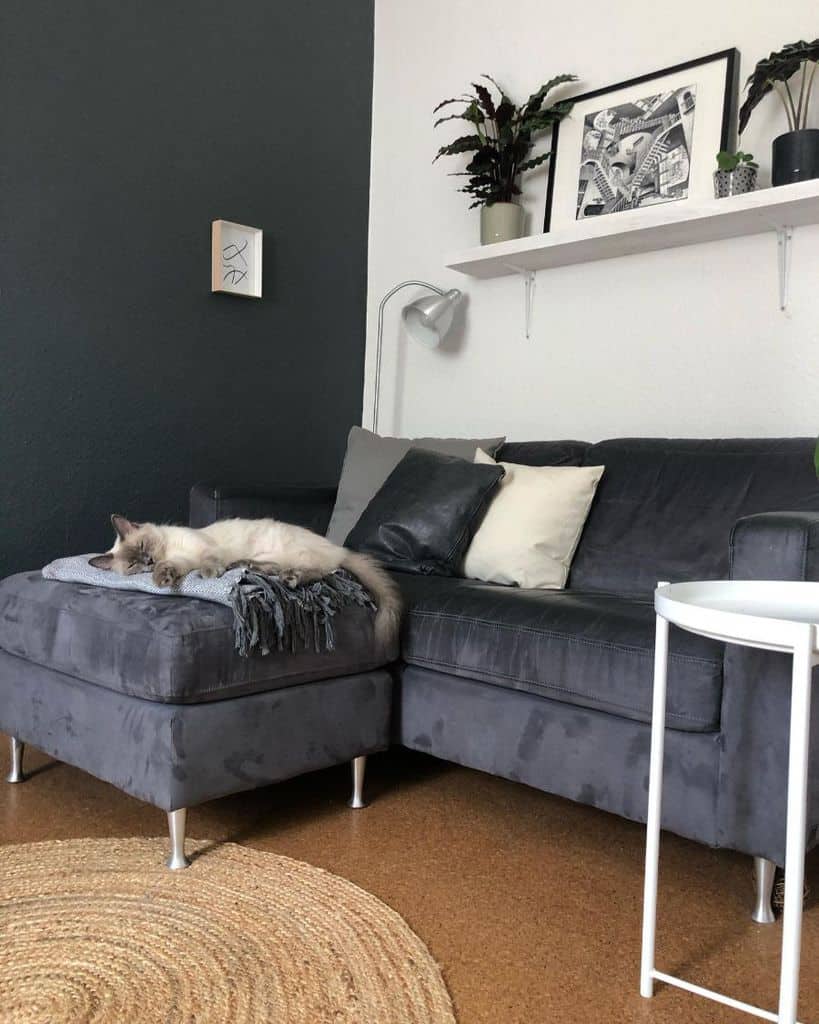 A fluffy cat sleeps on a gray sectional sofa with pillows in a modern living room with plants and artwork