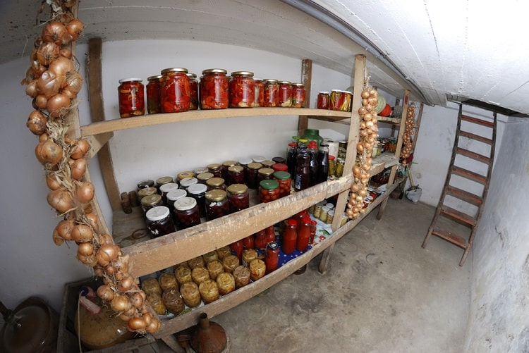Basement shelves with home-canned jars of vegetables and onions hanging from wooden supports.
