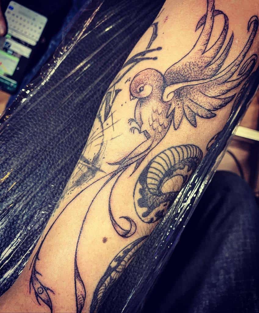 Minimalist black and grey quetzal tattoo on forearm, featuring a stylized bird in flight with long flowing tail feathers and delicate shading