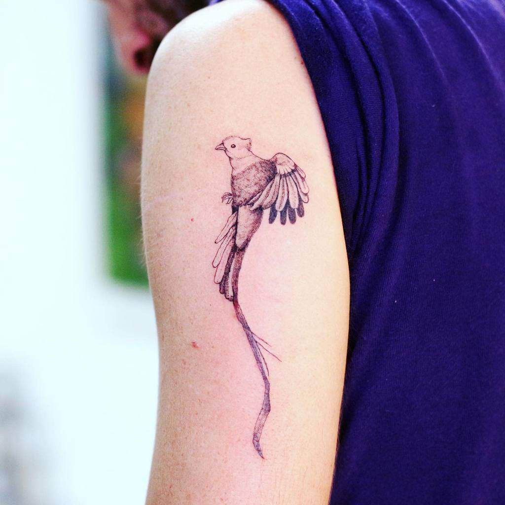 Minimalist quetzal tattoo on the upper arm, featuring a delicate black ink design of a bird in flight with long flowing tail feathers