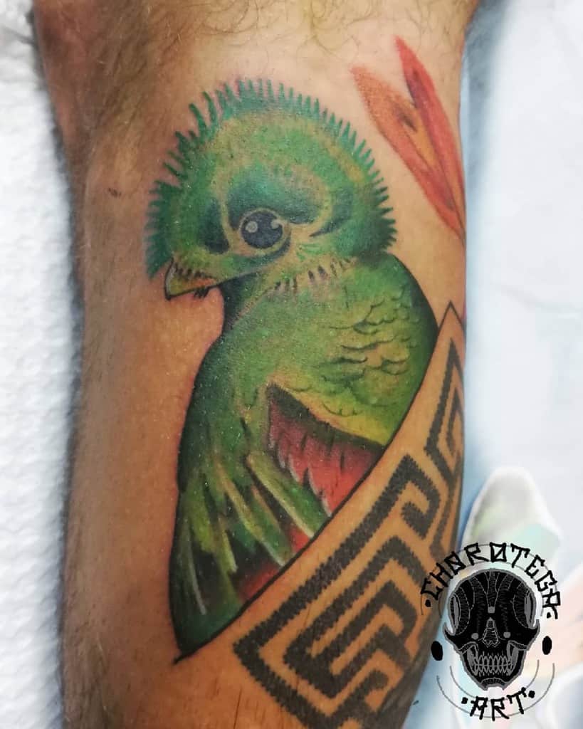 Vibrant quetzal tattoo on the leg, featuring a close-up of the bird’s green and red feathers with Mayan-inspired geometric patterns