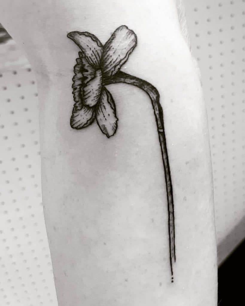 A black-and-white tattoo of a single daffodil with intricate linework, capturing the elegant shape of the flower and its delicate details.