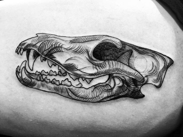 Sketched Wolf Skull Male Tattoo On Shoulder