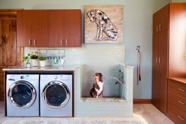 Sleek Home Dog Wash Station Ideas