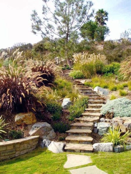 Natural sloped landscape with stone steps, ornamental grasses, boulders, and lush greenery creating a serene, rustic hillside garden