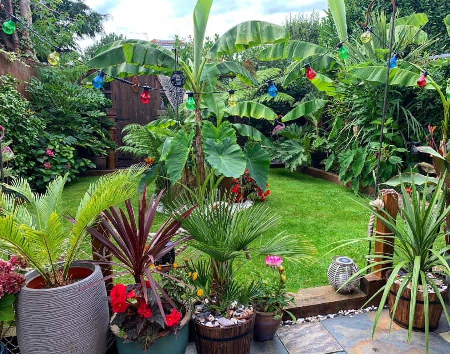 A lush garden with potted tropical plants, banana trees, and colorful string lights on a sunny day