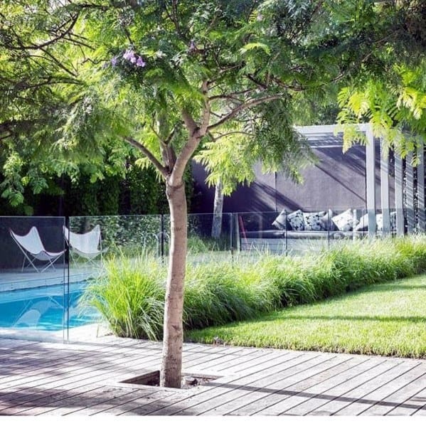 A backyard with a tree, pool, grass, and modern seating area behind a glass fence on a sunny day