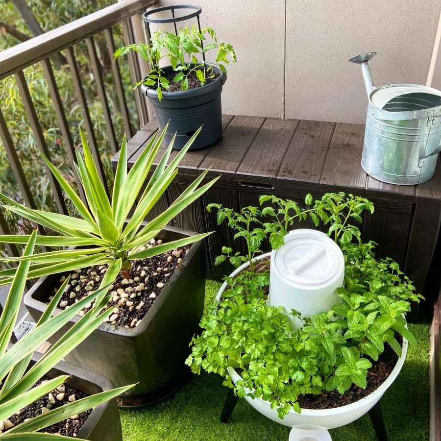 Small balcony garden with potted herbs, plants, and a watering can on a wooden bench.