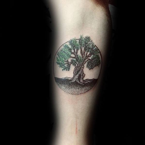Small Circle Inner Arm Bicep Olive Tree Guys Tattoo Ideas