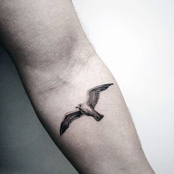 Small Detailed Guys Flying Seagull Tattoo On Inner Forearm
