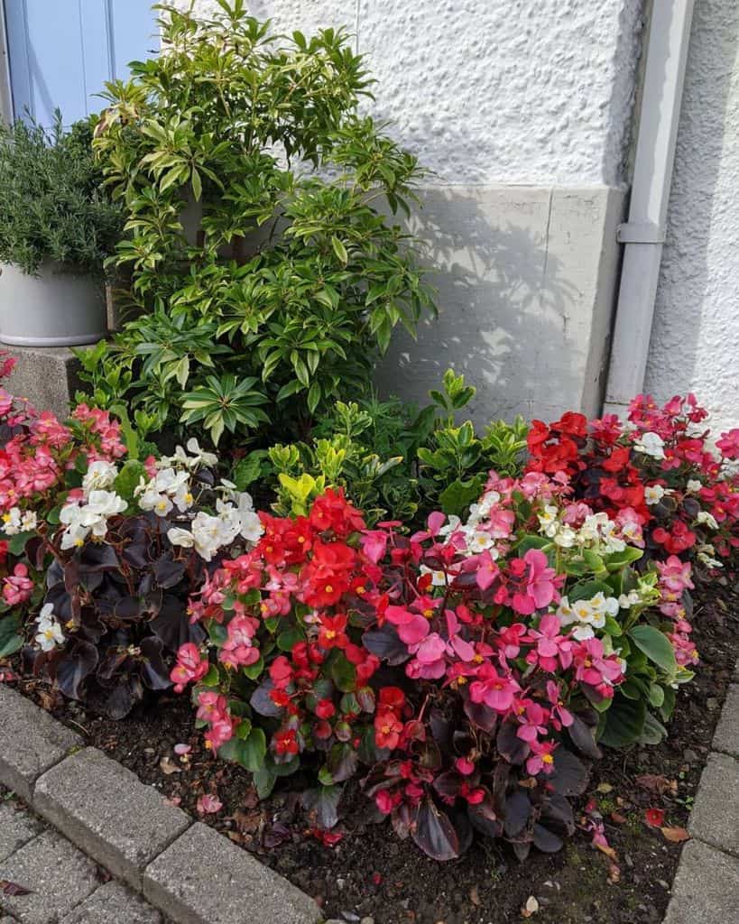 small paver flower bed