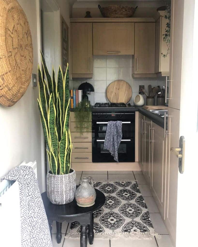 small galley kitchen green plant wall cabinets small black table