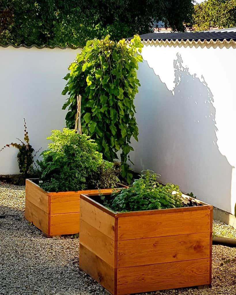 small wood planter box herb garden