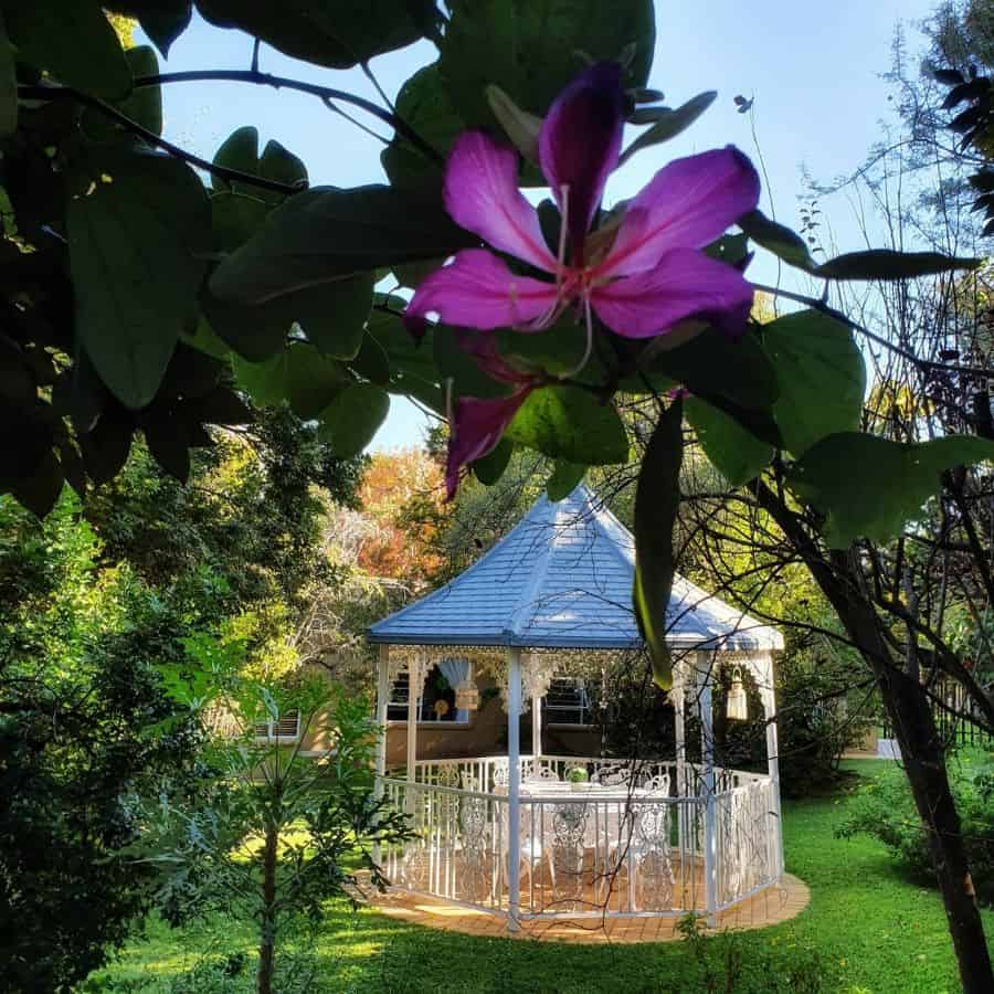 small elegant white gazebo outdoor furniture