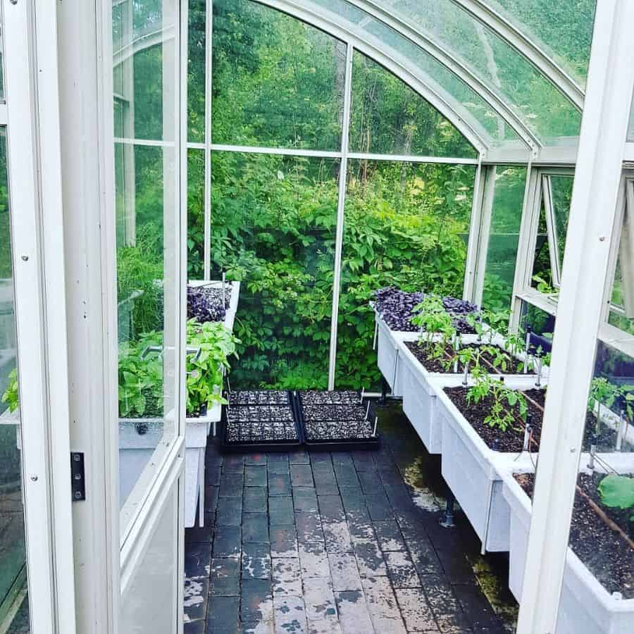 small white greenhouse container plants