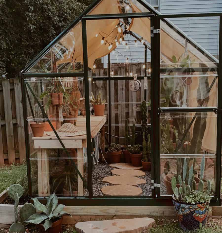 small plastic greenhouse wood bench cactus