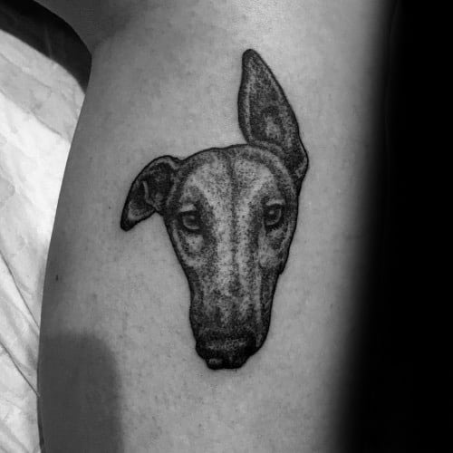 A detailed black and grey tattoo of a greyhound’s head, with a realistic shading technique that emphasizes the dog’s focused expression and distinct features.