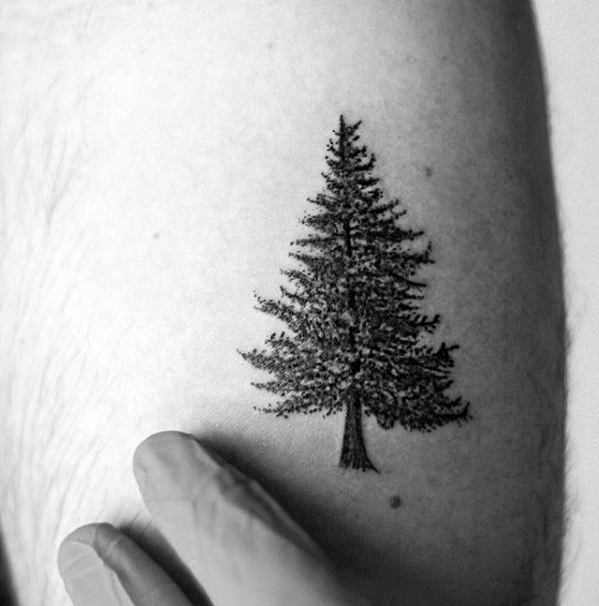 Small Mens Pine Tree Tattoo Design On Arm