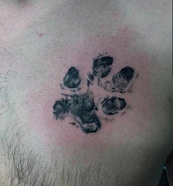 Small Mens Realistic Dog Paw Print Tattoo On Upper Chest
