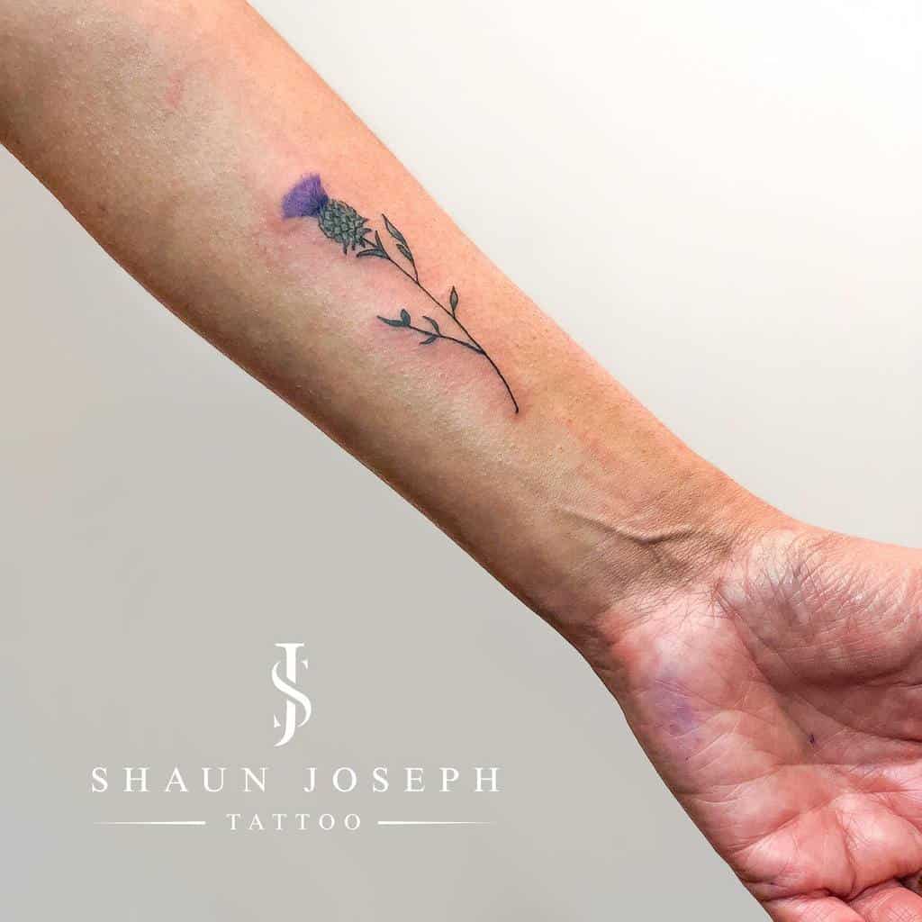 Forearm tattoo of a delicate thistle stem with leaves, placed vertically