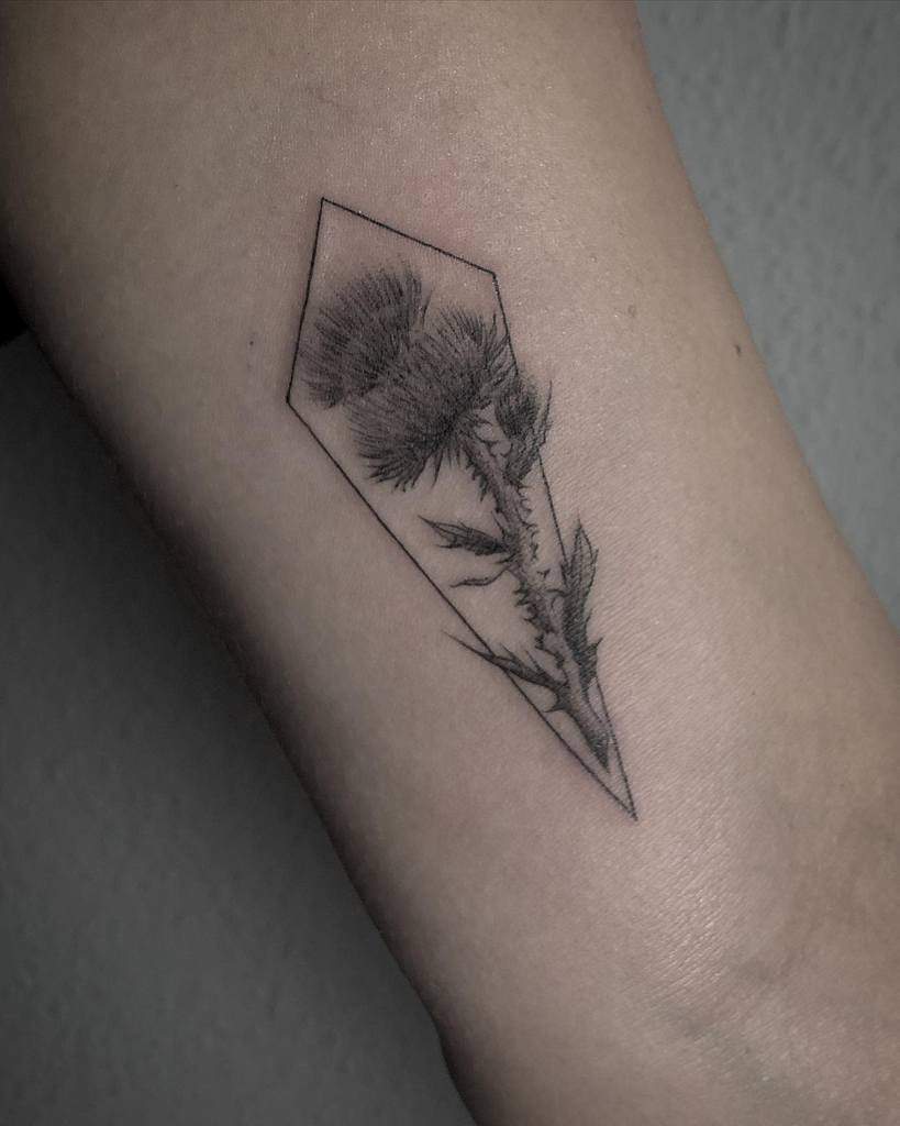 Geometric tattoo of a thistle elegantly inked on an inner arm, capturing the intricate beauty of this unique flower