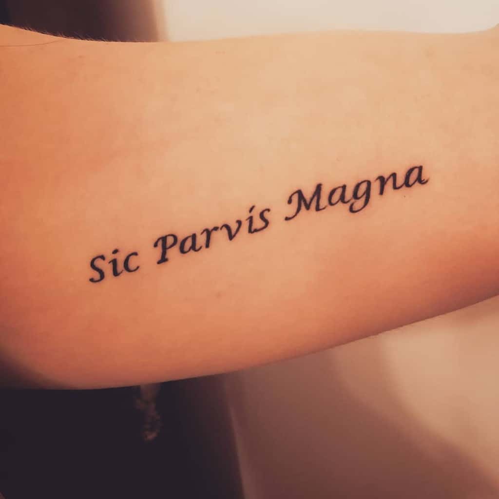 Tattoo on an arm with the phrase "Sic Parvis Magna" in italic font