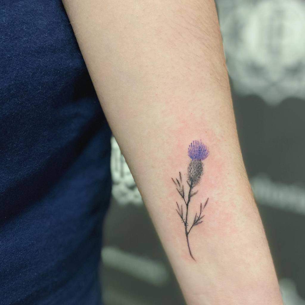 Thistle tattoo on a person's forearm