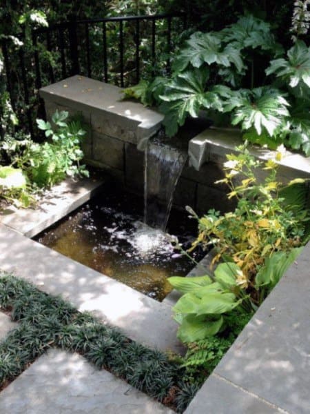 Small backyard pond with a waterfall feature surrounded by lush greenery and stone edges.