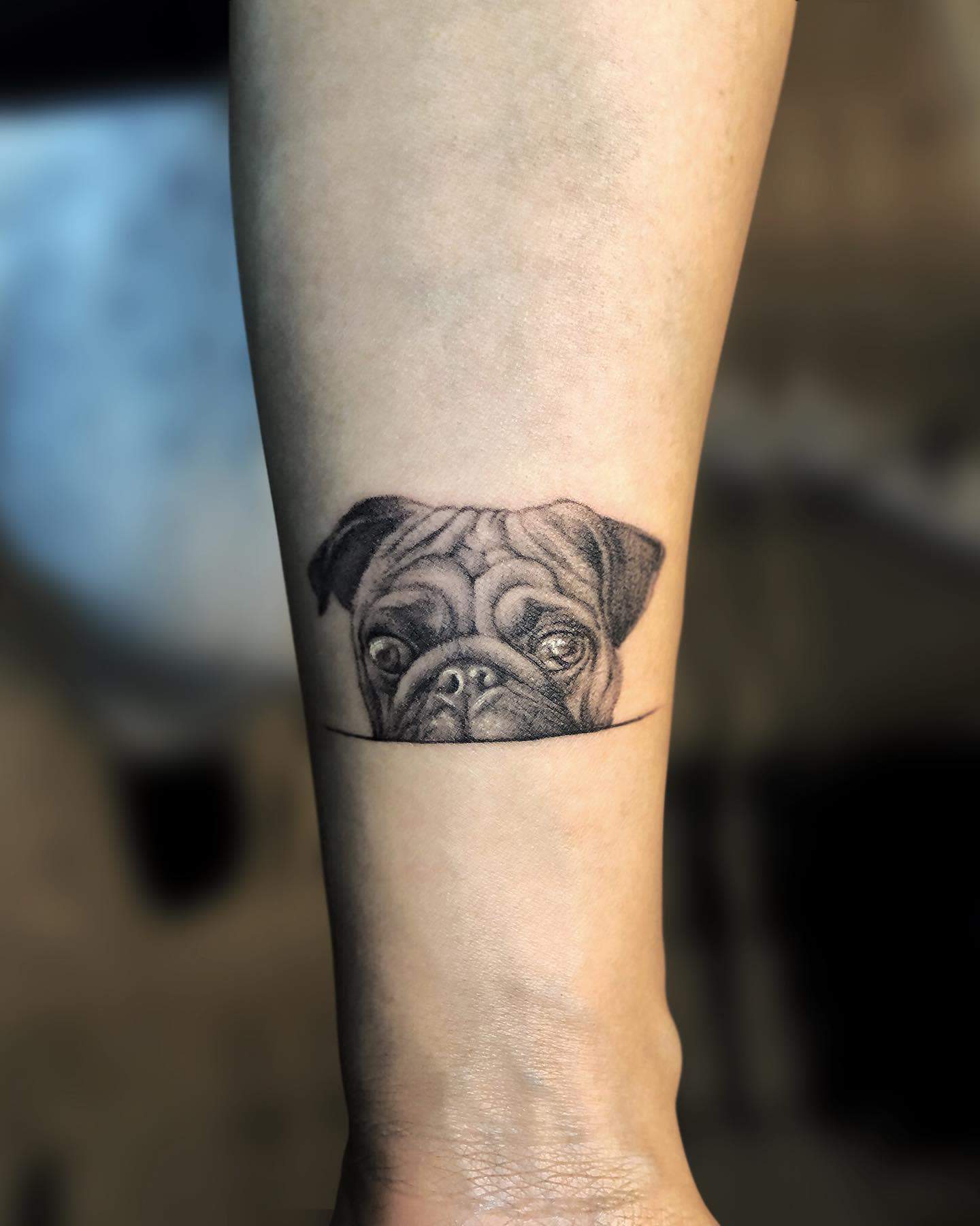 A highly detailed black-and-gray tattoo of a pug's head emerging from a line