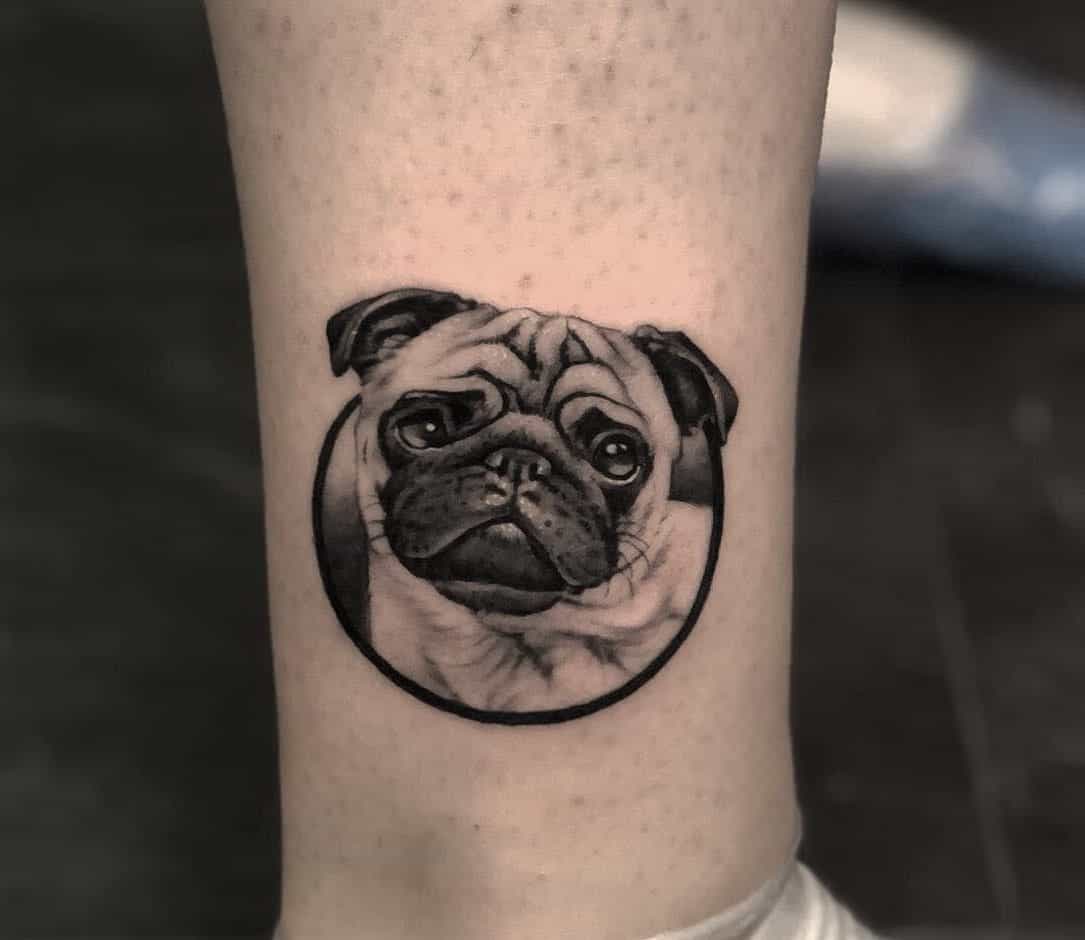 A black-and-gray tattoo of a pug's face within a circular frame, with a soft, shaded background