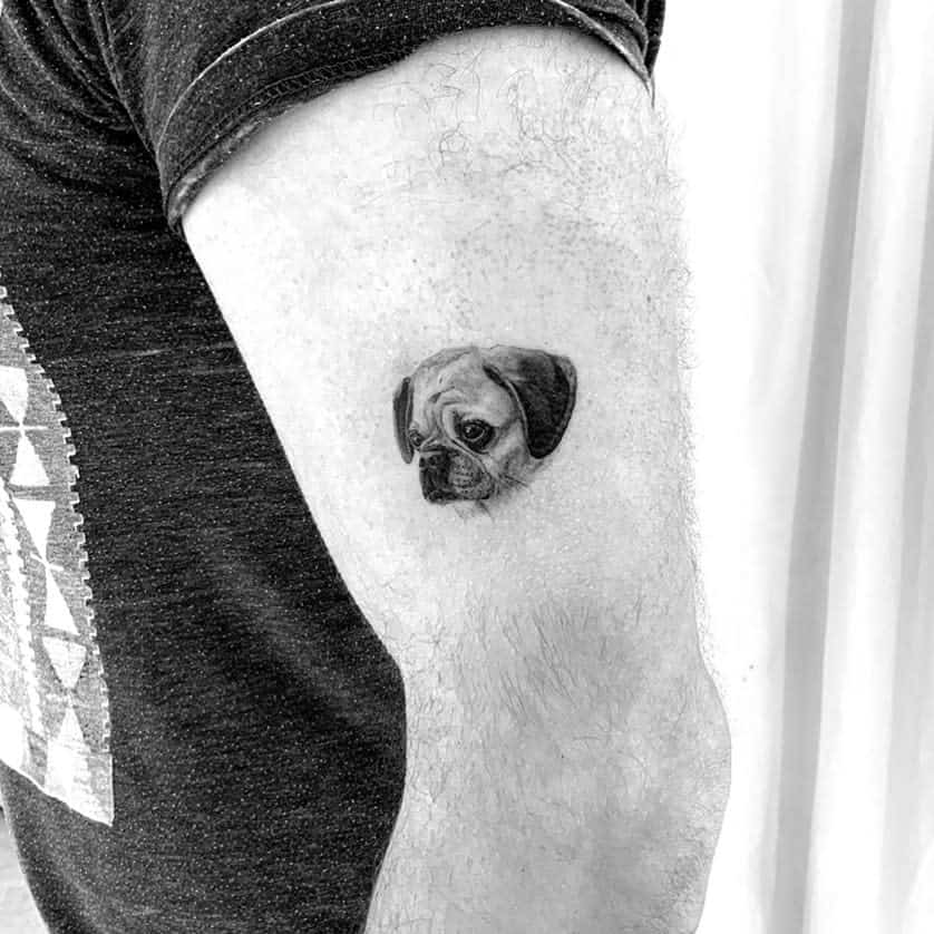A small, highly detailed black-and-gray tattoo of a pug's face, with fine shading