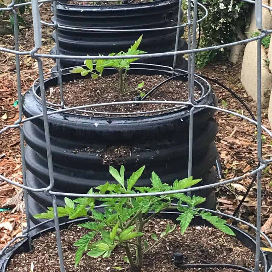 small raised round plastic garden beds