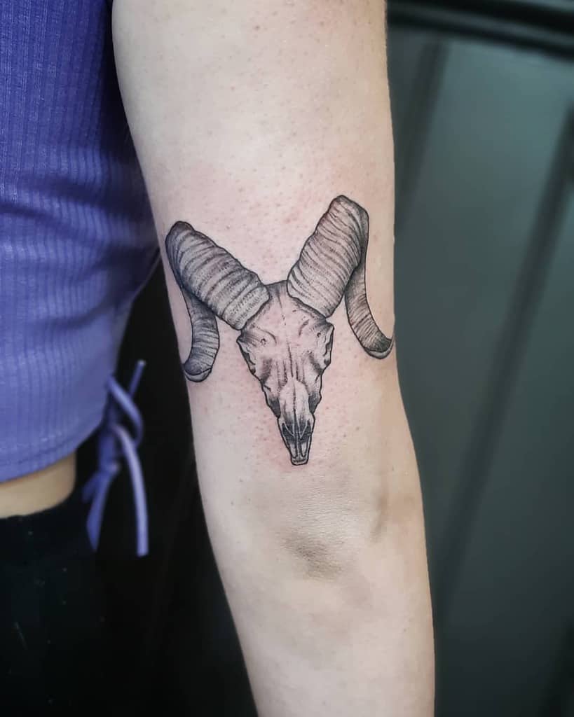 Small tattoo of a ram skull with horns on a person's inner arm