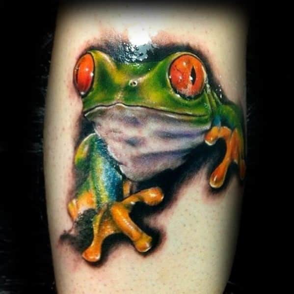 Small Realistic Forearm Tree Frog Tattoos For Gentlemen