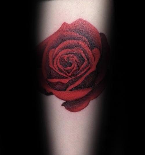 A realistic red rose tattoo on pale skin