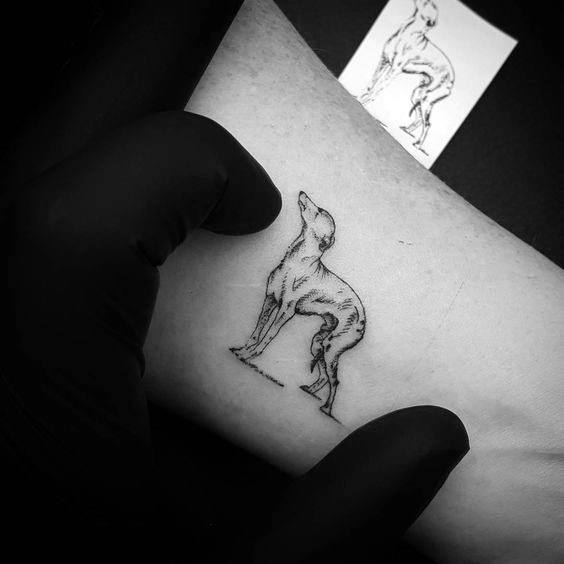 A minimalistic black ink tattoo of a standing greyhound, captured in a simple line drawing style with delicate details highlighting its posture.