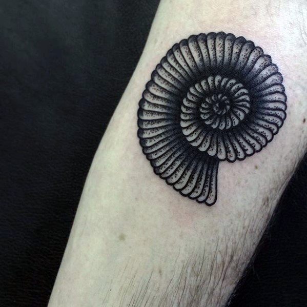 Small Traditional Inner Forearm Cool Male Ammonite Tattoo Designs