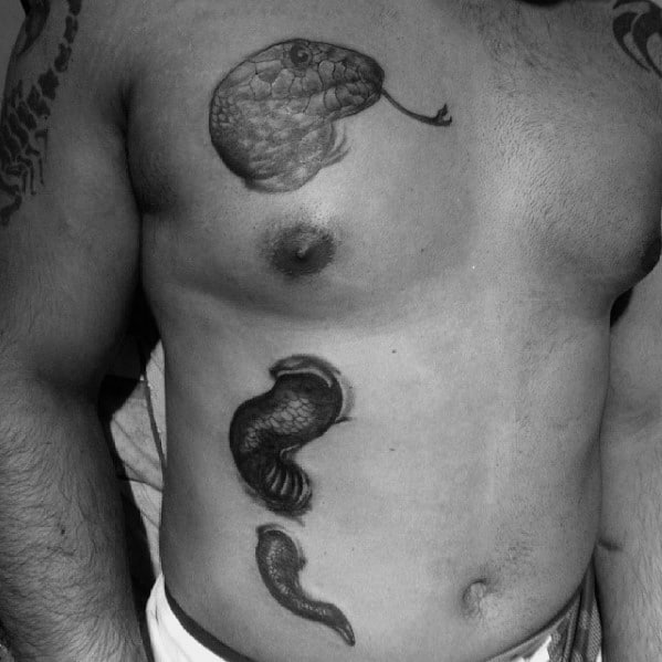 Snake Holes 3d Mens Chest Tattoos