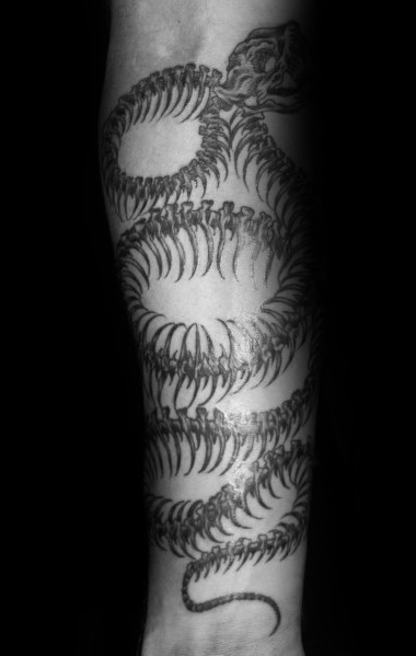 Coiled snake skeleton tattoo on the forearm, featuring intricate rib details and a bold skull design for a striking and dynamic look.