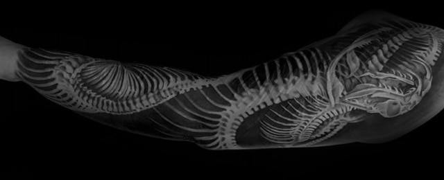 Snake Skeleton Tattoo Ideas For Men
