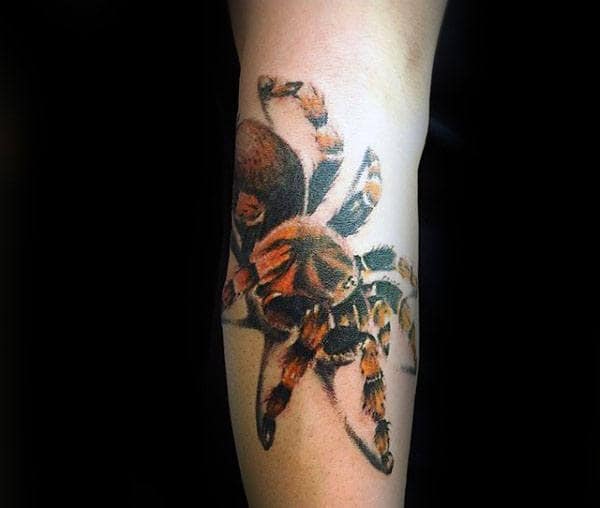Spider Tarantula Tattoo On Male With Orange And Black Design