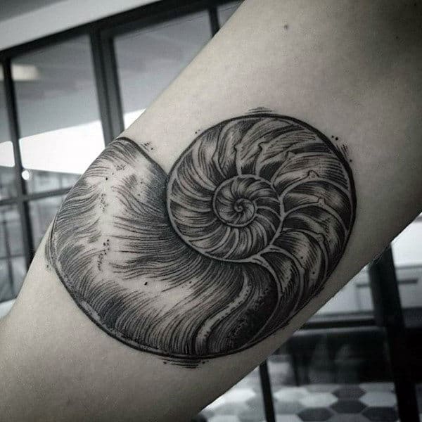 Spiral Seashell Bicep Tattoos For Males