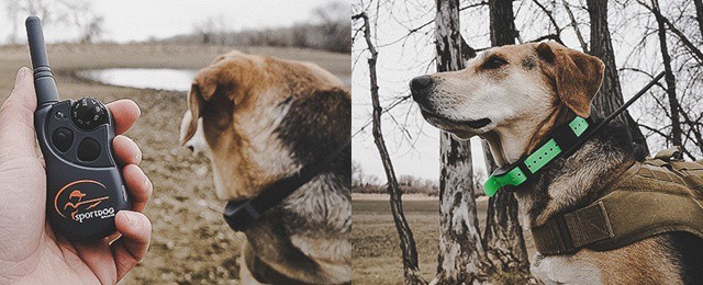 Sportdog Brand Fieldtrainer 425x And Tek 1 5 Gps Tracking Plus E Collar Review